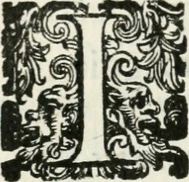 An illustration from Devote attioni di Milano, nel tenersi il Concilio prouinciale settimo, et nella traslatione di sei corpi santi & di molte sacre reliquie, da gl'illustriss. & reuerendiss. signori cardinale Federico Borromeo arciuescouo della Metropolitana & vescoui della Prouincia, 1611, leaf 69