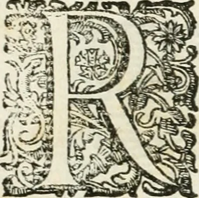 An illustration from De vrbis ac Romani olim imperii splendore : opus eruditionibus, historijs, ac animaduersionibus, tam sacris quam profanis illustratum : in quo etiam nonnulla ex occasione tanguntur, tam circa Romanae ecclesiae principatum, quam circa alias reliquarum orbis regionum res memoratu dignas, 1650, leaf 10