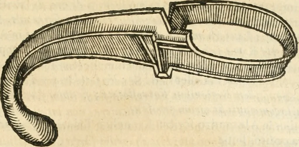 An illustration from De vrbis ac Romani olim imperii splendore : opus eruditionibus, historijs, ac animaduersionibus, tam sacris quam profanis illustratum : in quo etiam nonnulla ex occasione tanguntur, tam circa Romanae ecclesiae principatum, quam circa alias reliquarum orbis regionum res memoratu dignas, 1650, leaf 336