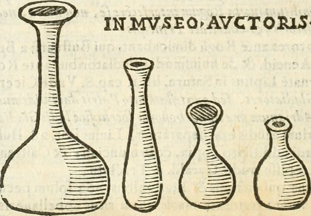 An illustration from De vrbis ac Romani olim imperii splendore : opus eruditionibus, historijs, ac animaduersionibus, tam sacris quam profanis illustratum : in quo etiam nonnulla ex occasione tanguntur, tam circa Romanae ecclesiae principatum, quam circa alias reliquarum orbis regionum res memoratu dignas, 1650, leaf 369