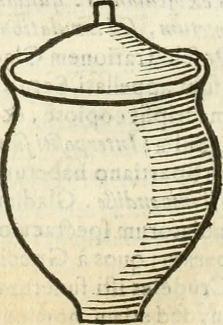 An illustration from De vrbis ac Romani olim imperii splendore : opus eruditionibus, historijs, ac animaduersionibus, tam sacris quam profanis illustratum : in quo etiam nonnulla ex occasione tanguntur, tam circa Romanae ecclesiae principatum, quam circa alias reliquarum orbis regionum res memoratu dignas, 1650, leaf 369
