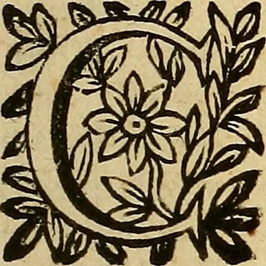 An illustration from De vrinis et pulsibus, de missione sanguinis, de febribus, de morbis capitis, et pectoris, 1683, leaf 238