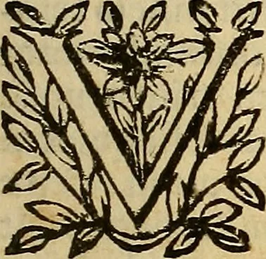 An illustration from De vrinis et pulsibus, de missione sanguinis, de febribus, de morbis capitis, et pectoris, 1683, leaf 24