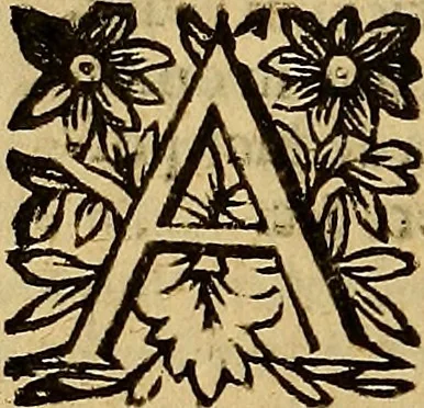 An illustration from De vrinis et pulsibus, de missione sanguinis, de febribus, de morbis capitis, et pectoris, 1683, leaf 407