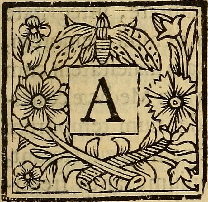 An illustration from De vrinis et pulsibus, de missione sanguinis, de febribus, de morbis capitis, et pectoris, 1683, leaf 6