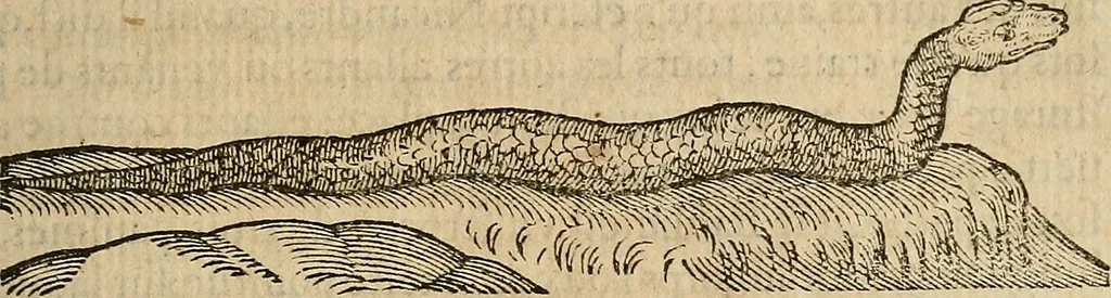 An illustration from Devx livres des venins, ausquels il est amplement discouru des bestes venimeuses, theriaques, poisons, 1568, leaf 118