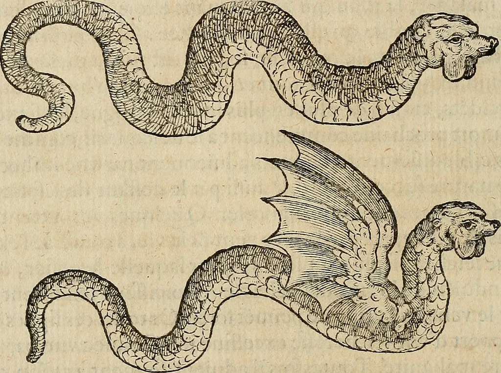 An illustration from Devx livres des venins, ausquels il est amplement discouru des bestes venimeuses, theriaques, poisons, 1568, leaf 125