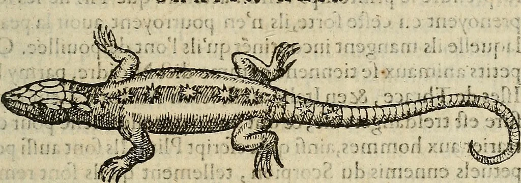 An illustration from Devx livres des venins, ausquels il est amplement discouru des bestes venimeuses, theriaques, poisons, 1568, leaf 130