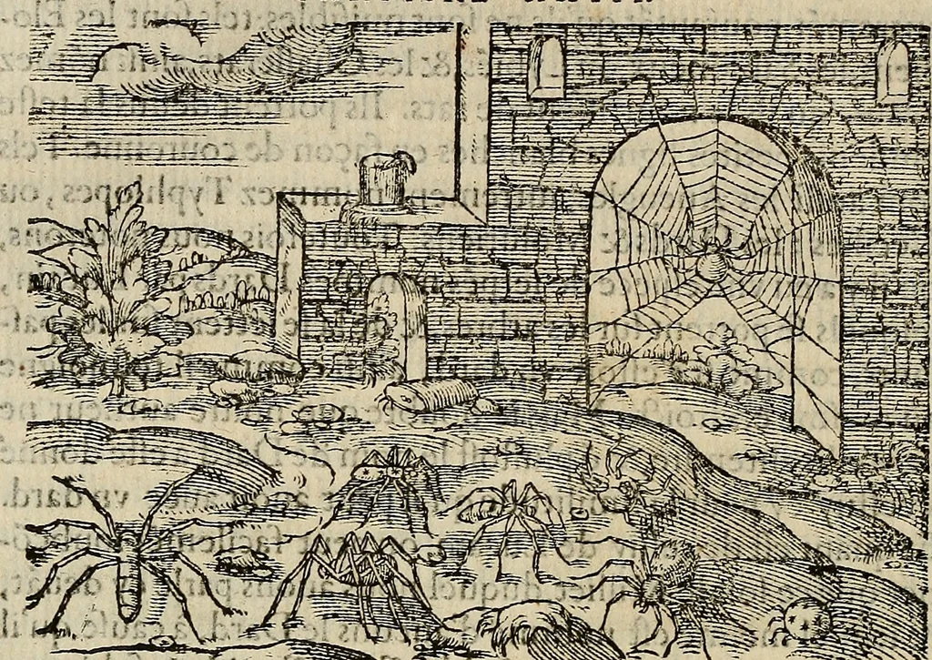 An illustration from Devx livres des venins, ausquels il est amplement discouru des bestes venimeuses, theriaques, poisons, 1568, leaf 133