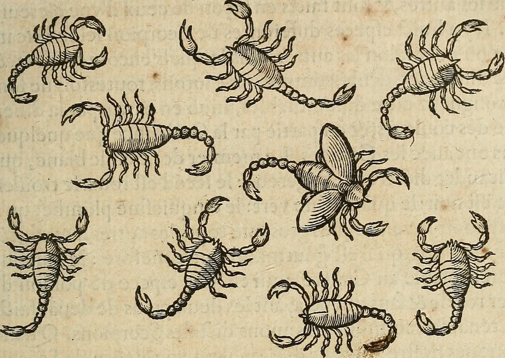 An illustration from Devx livres des venins, ausquels il est amplement discouru des bestes venimeuses, theriaques, poisons, 1568, leaf 142