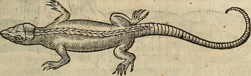 An illustration from Devx livres des venins, ausquels il est amplement discouru des bestes venimeuses, theriaques, poisons, 1568, leaf 154