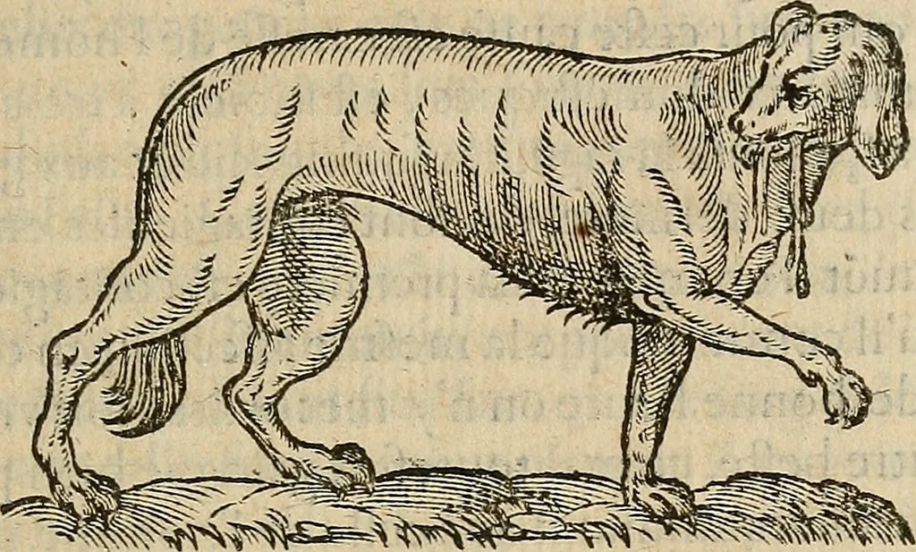 An illustration from Devx livres des venins, ausquels il est amplement discouru des bestes venimeuses, theriaques, poisons, 1568, leaf 176
