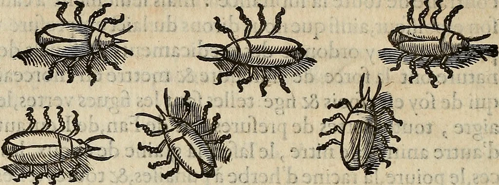 An illustration from Devx livres des venins, ausquels il est amplement discouru des bestes venimeuses, theriaques, poisons, 1568, leaf 251