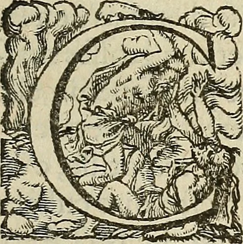 An illustration from Devx livres des venins, ausquels il est amplement discouru des bestes venimeuses, theriaques, poisons, 1568, leaf 290