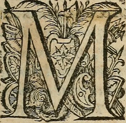 An illustration from Devx livres des venins, ausquels il est amplement discouru des bestes venimeuses, theriaques, poisons, 1568, leaf 304