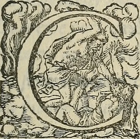 An illustration from Devx livres des venins, ausquels il est amplement discouru des bestes venimeuses, theriaques, poisons, 1568, leaf 366
