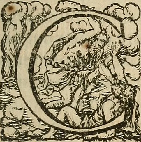 An illustration from Devx livres des venins, ausquels il est amplement discouru des bestes venimeuses, theriaques, poisons, 1568, leaf 60