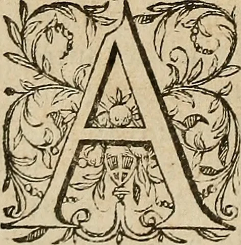 An illustration from Devx livres des venins, ausquels il est amplement discouru des bestes venimeuses, theriaques, poisons, 1568, leaf 77