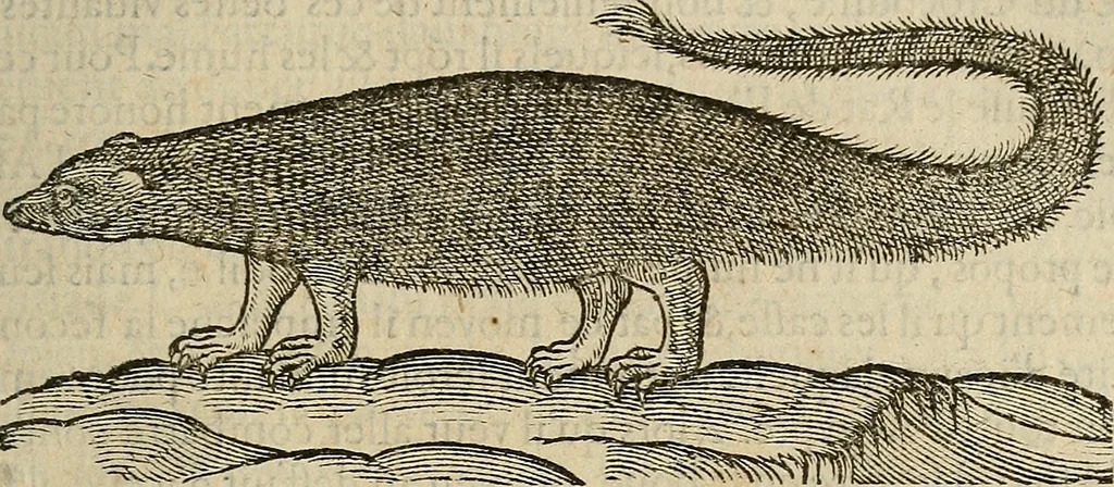An illustration from Devx livres des venins, ausquels il est amplement discouru des bestes venimeuses, theriaques, poisons, 1568, leaf 82