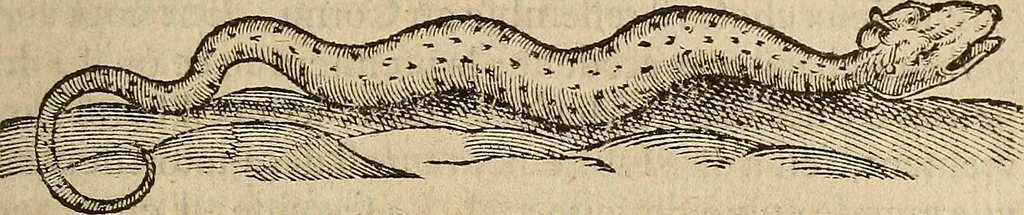 An illustration from Devx livres des venins, ausquels il est amplement discouru des bestes venimeuses, theriaques, poisons, 1568, leaf 98