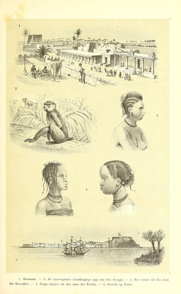 An illustration from De werelddeelen : bewerkt naar Friedrich von Hellwald's die Erde und ihre Vèolker, 1879, leaf 357