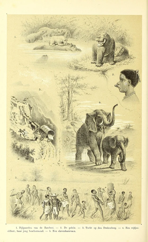 An illustration from De werelddeelen : bewerkt naar Friedrich von Hellwald's die Erde und ihre Vèolker, 1879, leaf 476