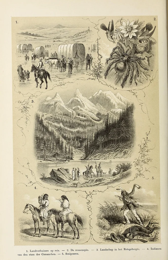 An illustration from De werelddeelen : bewerkt naar Friedrich von Hellwald's die Erde und ihre Völker, 1879, leaf 128