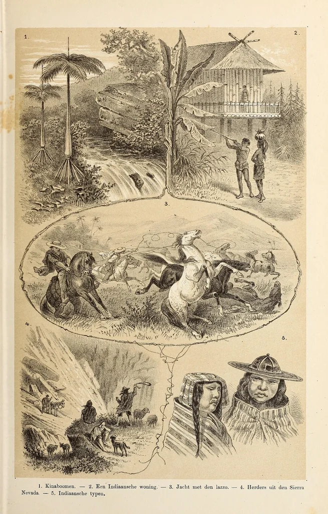 An illustration from De werelddeelen : bewerkt naar Friedrich von Hellwald's die Erde und ihre Völker, 1879, leaf 203