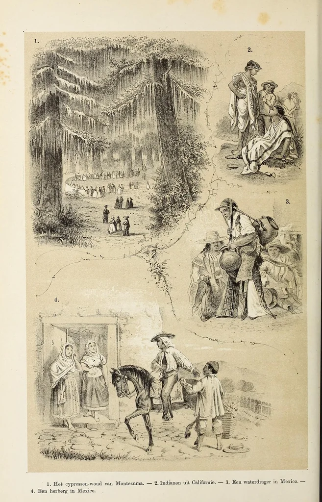 An illustration from De werelddeelen : bewerkt naar Friedrich von Hellwald's die Erde und ihre Völker, 1879, leaf 282