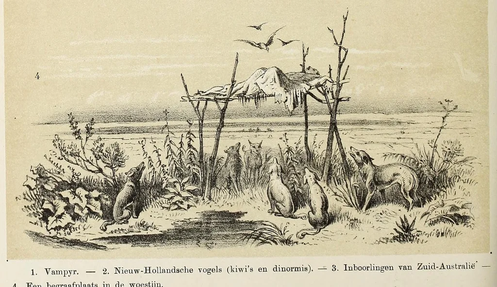 An illustration from De werelddeelen : bewerkt naar Friedrich von Hellwald's die Erde und ihre Völker, 1879, leaf 502