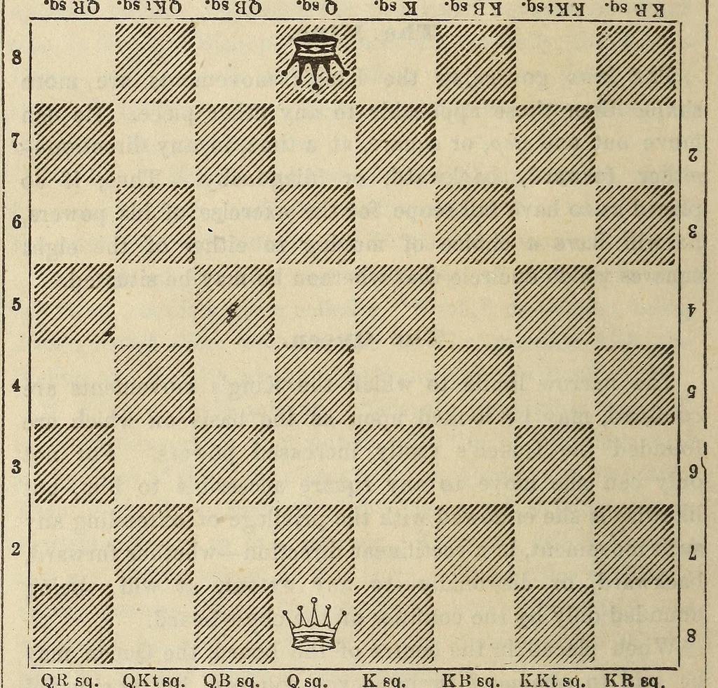 An illustration from De Witt's American chess manual. Containing full instructions for young players, 1880, leaf 24
