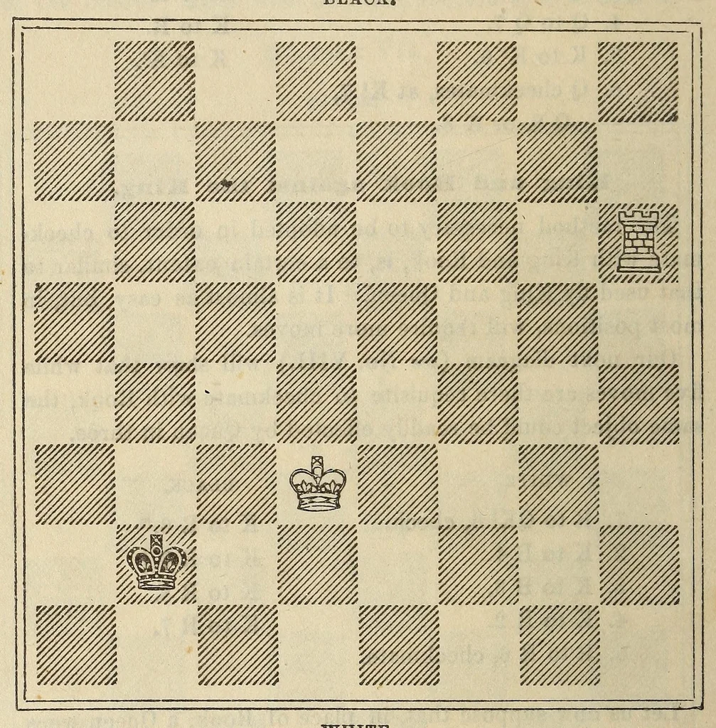 An illustration from De Witt's American chess manual. Containing full instructions for young players, 1880, leaf 46