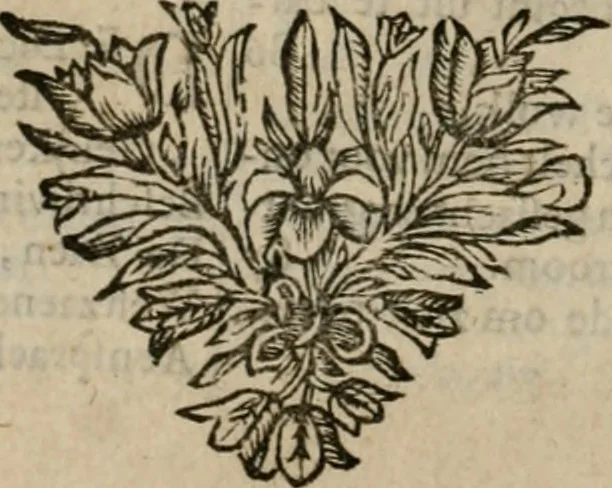 An illustration from De Ystroom : begreepen in vier boeken, 1671, leaf 183
