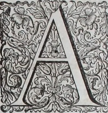 An illustration from De zee-atlas of Water-waerelt, vertoonende alle de zee-kusten van het bekende des aerd-bodems, met een generale beschrijvinge van dien : seer dienstigh voor schippers en stuurlieden, mitsgaders koop-lieden om op 't kantoor gebruyckt te worden : Nieuwelijcks aldus uytgegeven, 1665, leaf 6