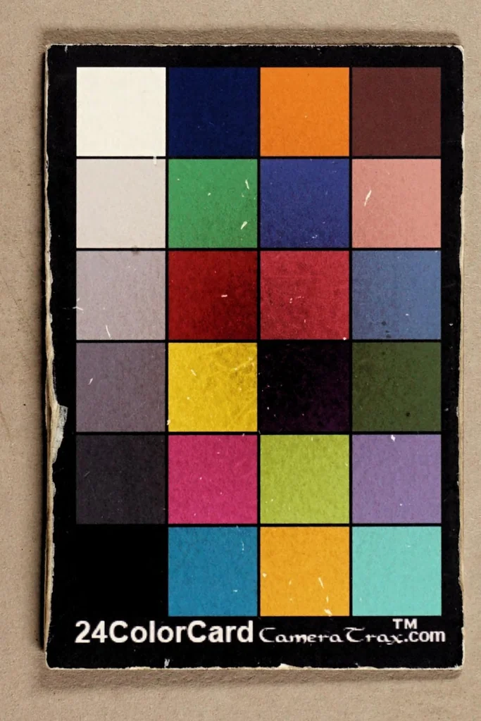 An illustration from De Zeeusche verre-kyker, 1649, leaf 29