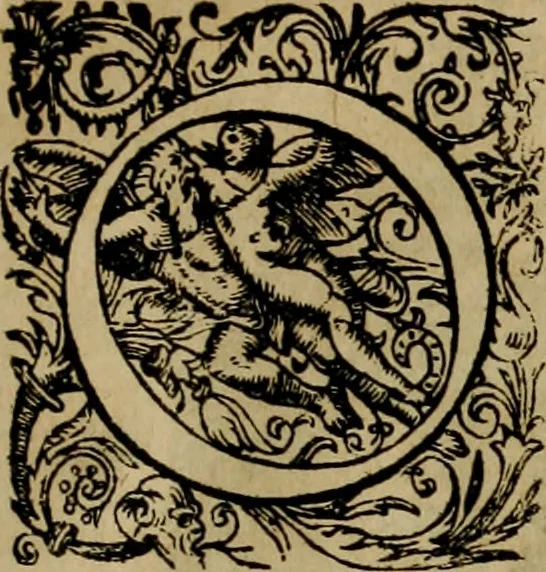 An illustration from D. Fernandi Vasqvii Menchacensis Pinciani ... Controversiarvm illvstrivm aliarvmqve vsv frequentivm libri tres : nvnc denvo longe qvam antea emendatius ac elegantius editi, iureconsultis omnibus summo vsui futuri, 1572, leaf 10