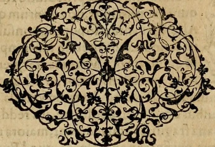 An illustration from D. Fernandi Vasqvii Menchacensis Pinciani ... Controversiarvm illvstrivm aliarvmqve vsv frequentivm libri tres : nvnc denvo longe qvam antea emendatius ac elegantius editi, iureconsultis omnibus summo vsui futuri, 1572, leaf 11