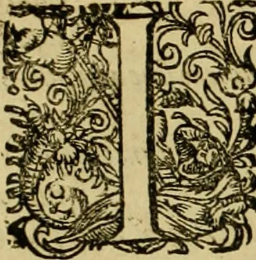 An illustration from D. Francisci Dvareni i.c. celeberrimi, Omnia qvae qvidem hactenvs edita fvervnt opera : non tantvm plvrimis in Digesta seu Pandectas, & Codicem commentariis ac methodicis expositionibus, 1598, leaf 1053