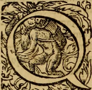 An illustration from D. Francisci Dvareni i.c. celeberrimi, Omnia qvae qvidem hactenvs edita fvervnt opera : non tantvm plvrimis in Digesta seu Pandectas, & Codicem commentariis ac methodicis expositionibus, 1598, leaf 1082