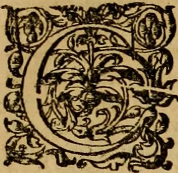 An illustration from D. Francisci Dvareni i.c. celeberrimi, Omnia qvae qvidem hactenvs edita fvervnt opera : non tantvm plvrimis in Digesta seu Pandectas, & Codicem commentariis ac methodicis expositionibus, 1598, leaf 1100