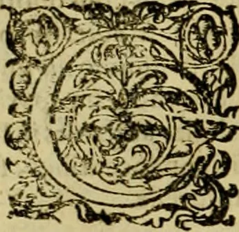 An illustration from D. Francisci Dvareni i.c. celeberrimi, Omnia qvae qvidem hactenvs edita fvervnt opera : non tantvm plvrimis in Digesta seu Pandectas, & Codicem commentariis ac methodicis expositionibus, 1598, leaf 1111