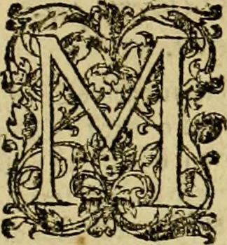 An illustration from D. Francisci Dvareni i.c. celeberrimi, Omnia qvae qvidem hactenvs edita fvervnt opera : non tantvm plvrimis in Digesta seu Pandectas, & Codicem commentariis ac methodicis expositionibus, 1598, leaf 1119