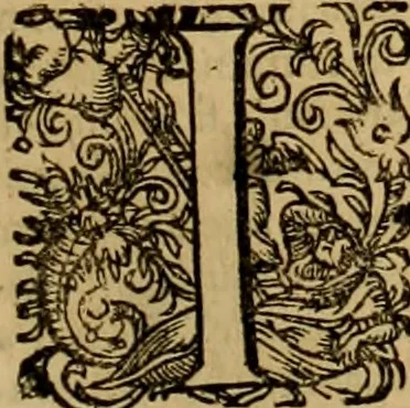 An illustration from D. Francisci Dvareni i.c. celeberrimi, Omnia qvae qvidem hactenvs edita fvervnt opera : non tantvm plvrimis in Digesta seu Pandectas, & Codicem commentariis ac methodicis expositionibus, 1598, leaf 112