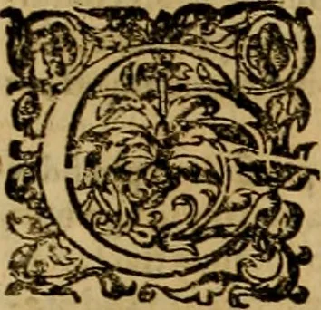 An illustration from D. Francisci Dvareni i.c. celeberrimi, Omnia qvae qvidem hactenvs edita fvervnt opera : non tantvm plvrimis in Digesta seu Pandectas, & Codicem commentariis ac methodicis expositionibus, 1598, leaf 1120