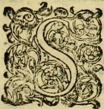 An illustration from D. Francisci Dvareni i.c. celeberrimi, Omnia qvae qvidem hactenvs edita fvervnt opera : non tantvm plvrimis in Digesta seu Pandectas, & Codicem commentariis ac methodicis expositionibus, 1598, leaf 1123