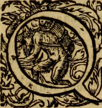 An illustration from D. Francisci Dvareni i.c. celeberrimi, Omnia qvae qvidem hactenvs edita fvervnt opera : non tantvm plvrimis in Digesta seu Pandectas, & Codicem commentariis ac methodicis expositionibus, 1598, leaf 1134