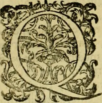 An illustration from D. Francisci Dvareni i.c. celeberrimi, Omnia qvae qvidem hactenvs edita fvervnt opera : non tantvm plvrimis in Digesta seu Pandectas, & Codicem commentariis ac methodicis expositionibus, 1598, leaf 1139
