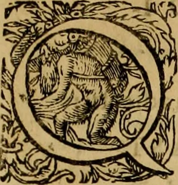 An illustration from D. Francisci Dvareni i.c. celeberrimi, Omnia qvae qvidem hactenvs edita fvervnt opera : non tantvm plvrimis in Digesta seu Pandectas, & Codicem commentariis ac methodicis expositionibus, 1598, leaf 1140