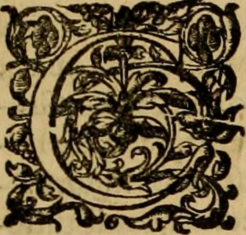 An illustration from D. Francisci Dvareni i.c. celeberrimi, Omnia qvae qvidem hactenvs edita fvervnt opera : non tantvm plvrimis in Digesta seu Pandectas, & Codicem commentariis ac methodicis expositionibus, 1598, leaf 1172
