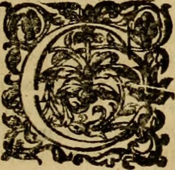 An illustration from D. Francisci Dvareni i.c. celeberrimi, Omnia qvae qvidem hactenvs edita fvervnt opera : non tantvm plvrimis in Digesta seu Pandectas, & Codicem commentariis ac methodicis expositionibus, 1598, leaf 1174